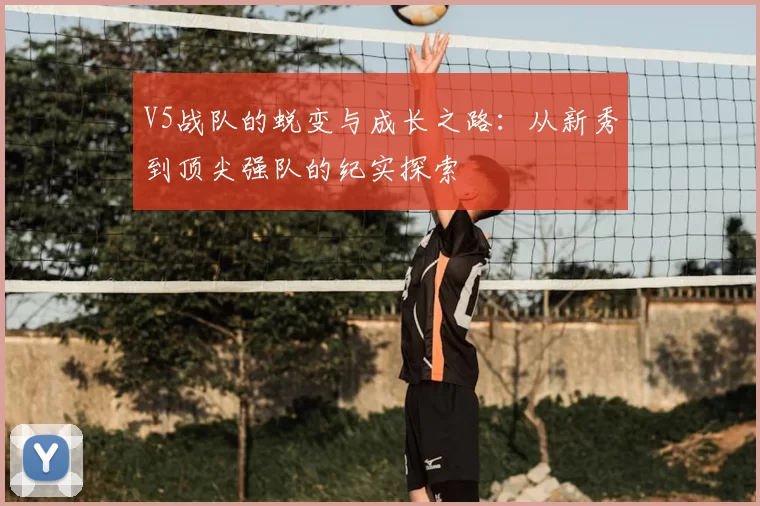 V5战队的蜕变与成长之路：从新秀到顶尖强队的纪实探索