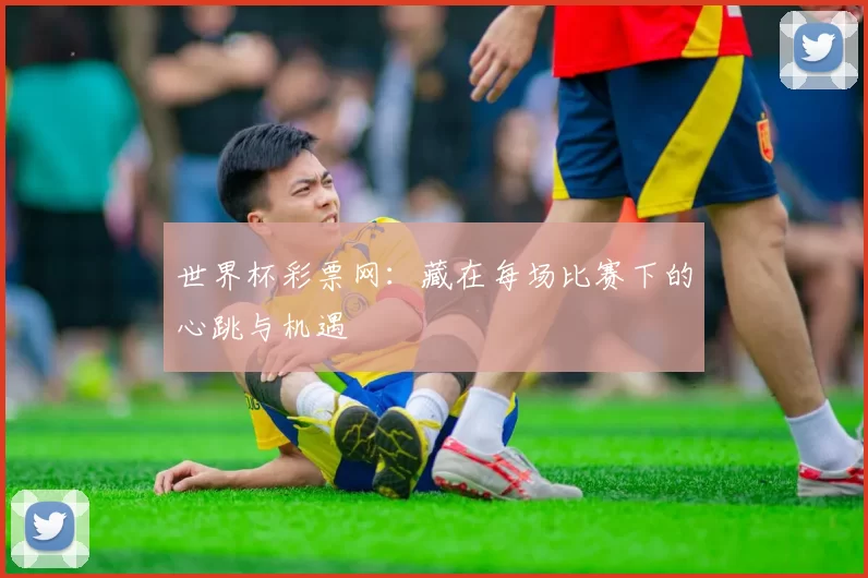 世界杯彩票网：藏在每场比赛下的心跳与机遇
