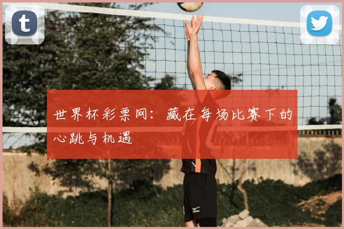 世界杯彩票网：藏在每场比赛下的心跳与机遇