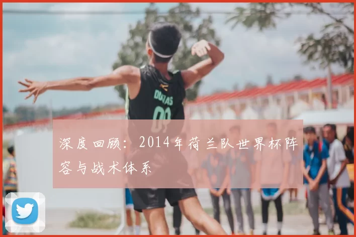 深度回顾:2014年荷兰队世界杯阵容与战术体系