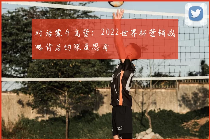对话蒙牛高管:2022世界杯营销战略背后的深度思考