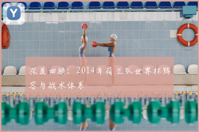 深度回顾：2014年荷兰队世界杯阵容与战术体系