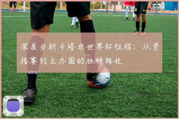 深度分析卡塔尔世界杯征程:从资格赛到主办国的独特路径