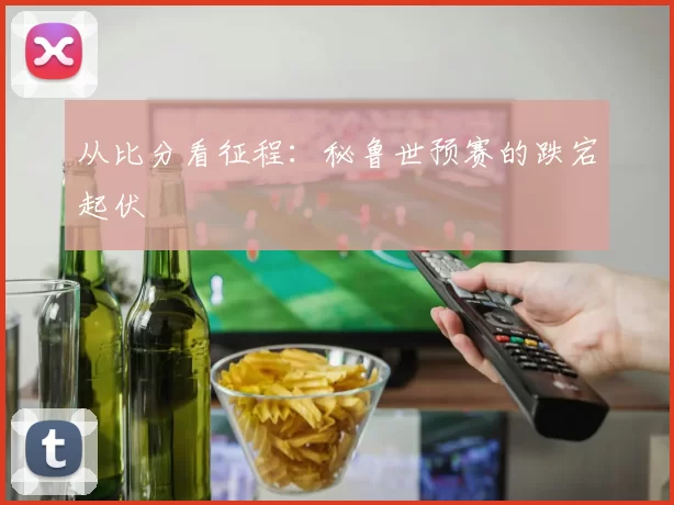 从比分看征程：秘鲁世预赛的跌宕起伏